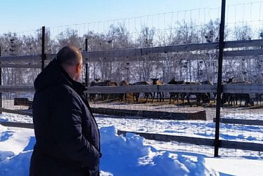Локомотивы роста